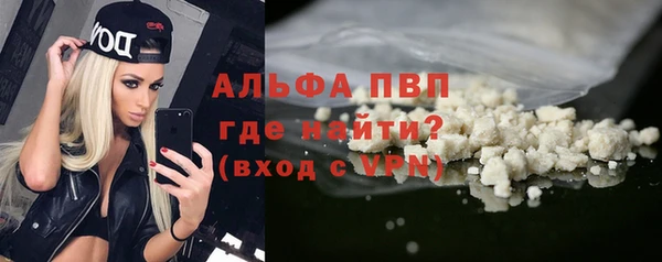 стафф Вязьма