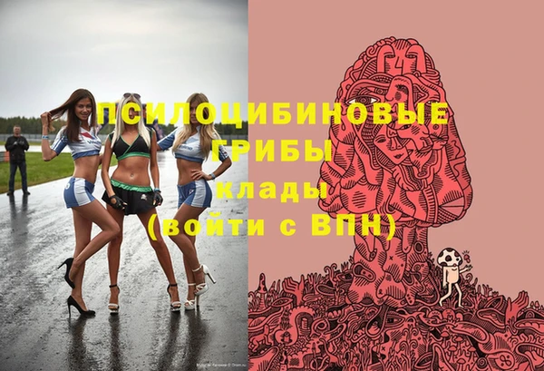 прущая мука Вязники
