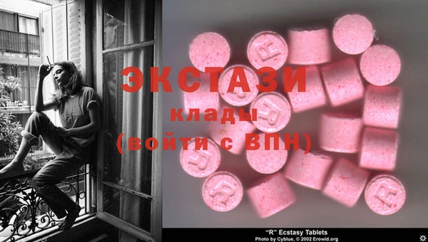 стафф Вязьма