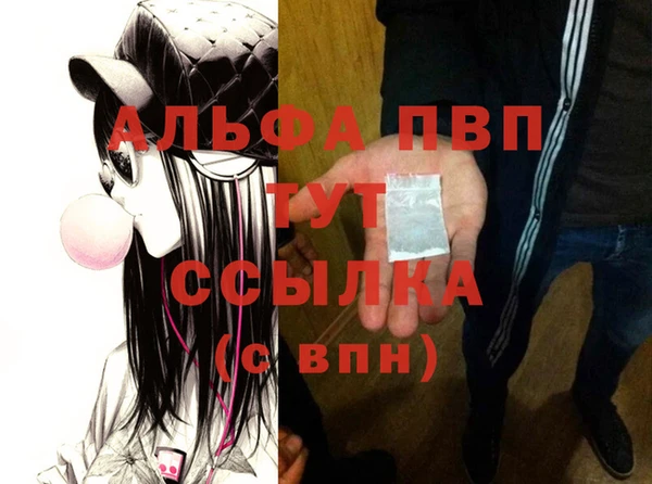 стафф Вязьма