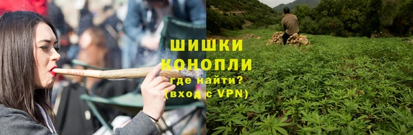 mix Вяземский
