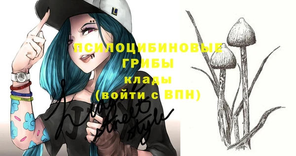 стафф Вязьма