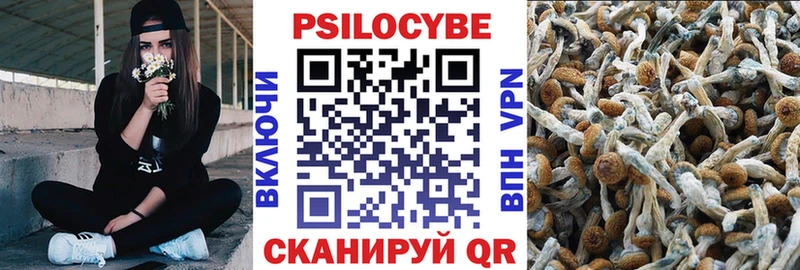 Псилоцибиновые грибы мицелий  где купить наркотик  Якутск 